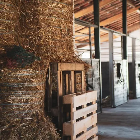 Quinta Lusitania Lantställe *