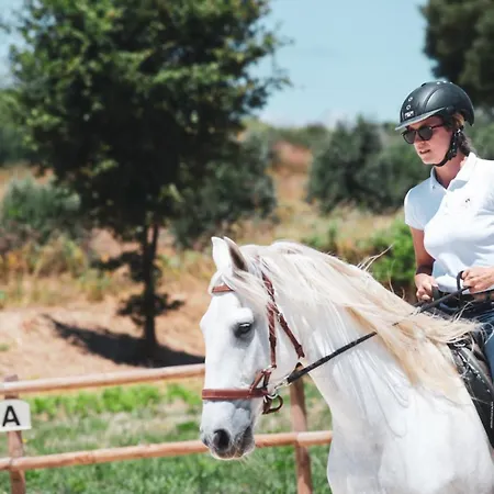 Quinta Lusitânia Séjour à la campagne Santa Comba Dao