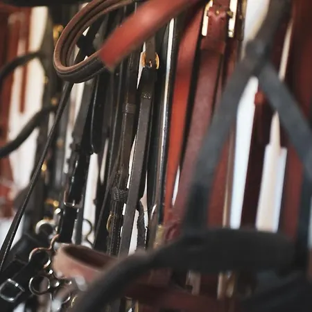 Quinta Lusitania Lantställe Santa Comba Dao