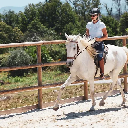 Quinta Lusitânia Casa de Campo *