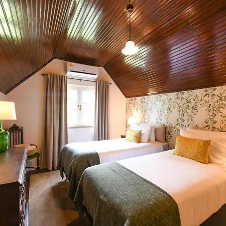 Quinta Lusitania Lantställe Santa Comba Dao