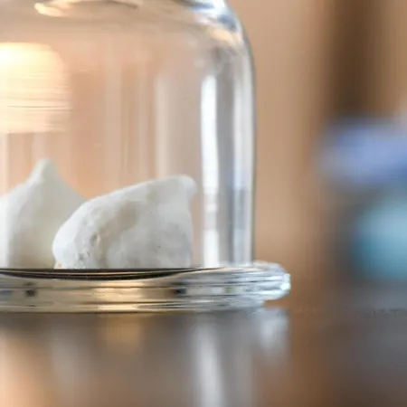 Quinta Lusitania * Santa Comba Dao