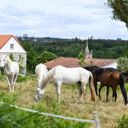 Quinta Lusitania Country house *
