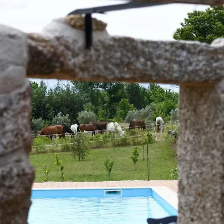 Quinta Lusitania *