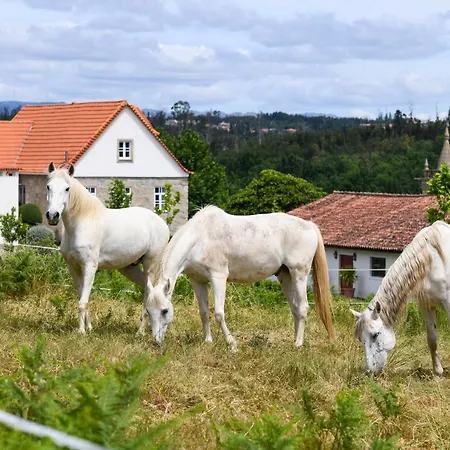Quinta Lusitania Santa Comba Dao