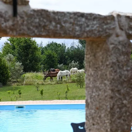 Quinta Lusitania Country house Santa Comba Dao
