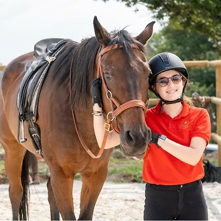 Lantställe Quinta Lusitania Santa Comba Dao