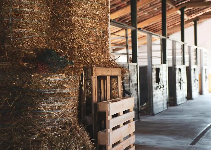 Quinta Lusitania Летний дом *