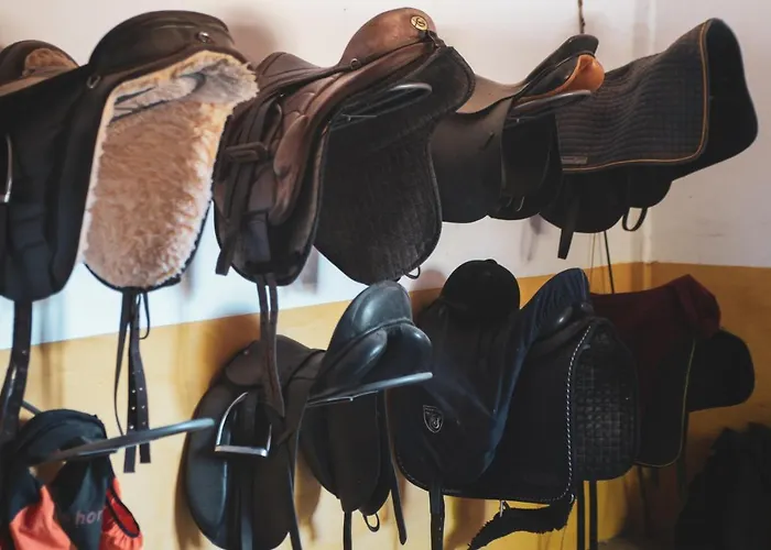 Quinta Lusitania Летний дом *