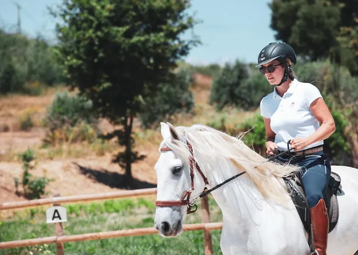Quinta Lusitania Летний дом Санта-Комба-Дан