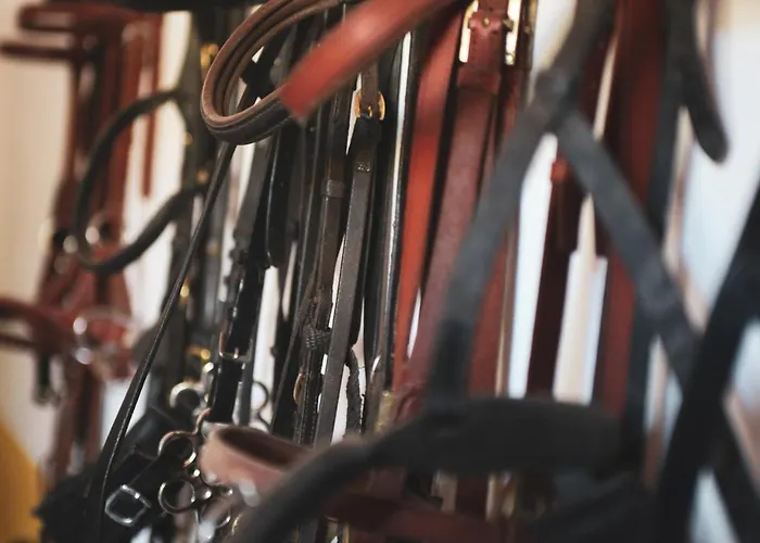 Quinta Lusitania Летний дом Санта-Комба-Дан