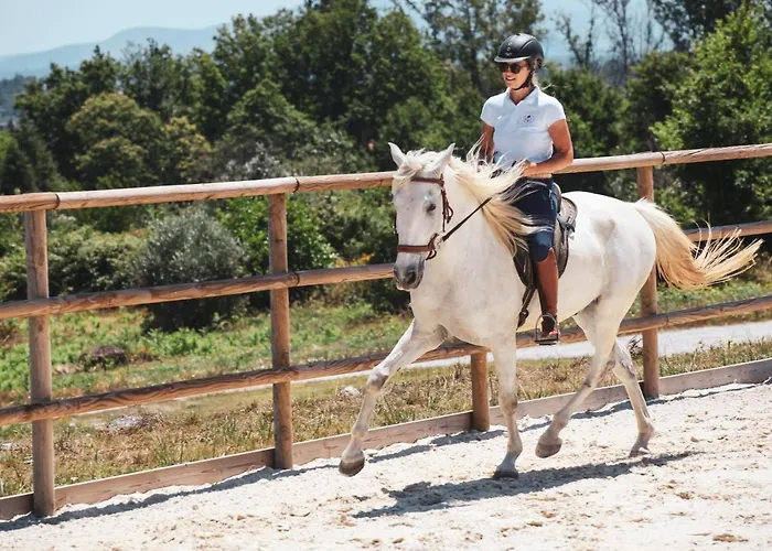 Quinta Lusitania Летний дом *