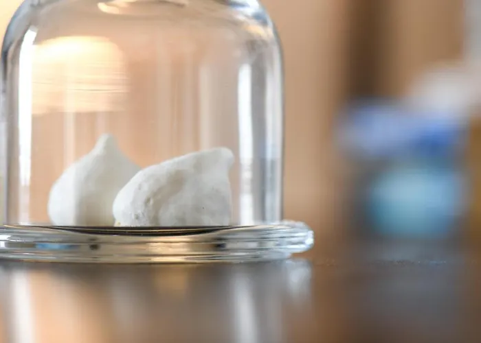 Quinta Lusitania * Санта-Комба-Дан