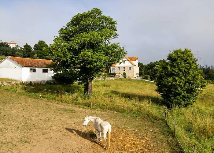 Летний дом Quinta Lusitania *